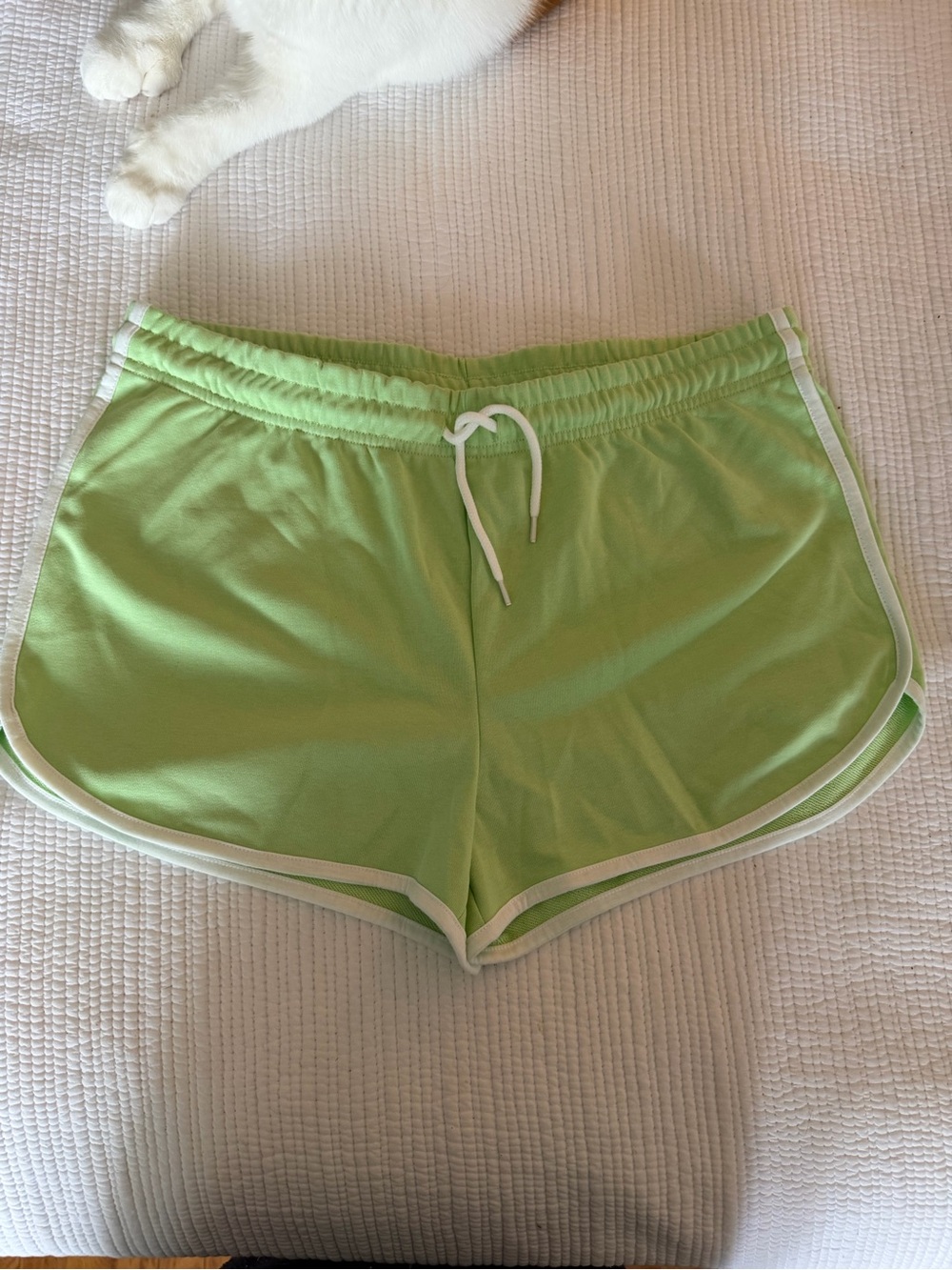 Light Green Women's Drawstring Lounge Shorts